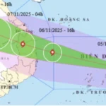 TP HCM yêu cầu các đơn vị trực chiến, sẵn sàng ứng phó bão Kalmaegi