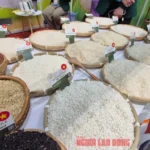 Chủ tịch VFA nói gì về việc Philippines dừng nhập khẩu gạo đến hết năm 2025?