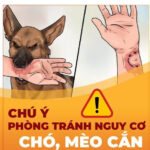 Thêm một trường hợp tử vong do bệnh dại tại Đồng Nai