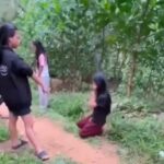 Xác minh vụ nhóm nữ sinh đánh bạn, ép quỳ gối xin lỗi ở Thanh Hóa