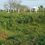 Đề xuất giảm mạnh chi phí chuyển đất vườn sang đất ở: Quốc hội xem xét tháo gỡ gánh nặng cho người dân